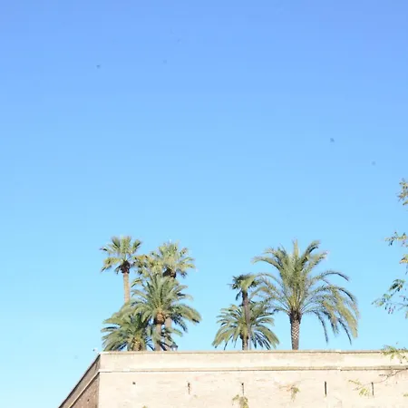 Vatican View Experience 4*