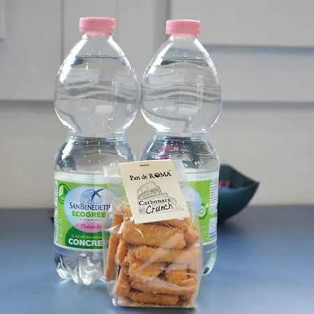 Vatican View Experience Casa de hóspedes Roma