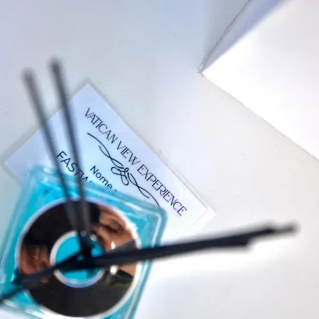 Vatican View Experience